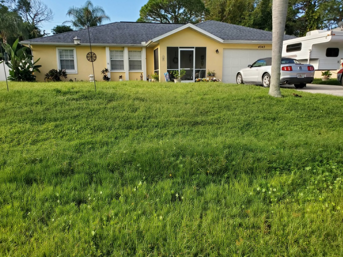 PHOTO Brian Laundrie's Parents Refuse To Come Outside And Mow The Lawn It's Been Weeks And Grass Is Almost A Foot Long