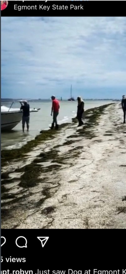 PHOTO Dog The Bounty Hunter Was At Egmont Key State Park For Two Hours Wednesday Afternoon Looking For Brian Laundrie With Private K9 Units