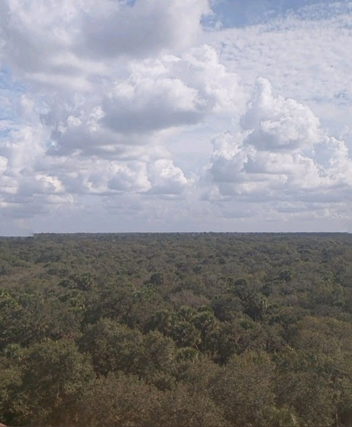 PHOTO Of Area In Florida Where Brian Laundrie Told His Parents He Was Going Camping Last Week