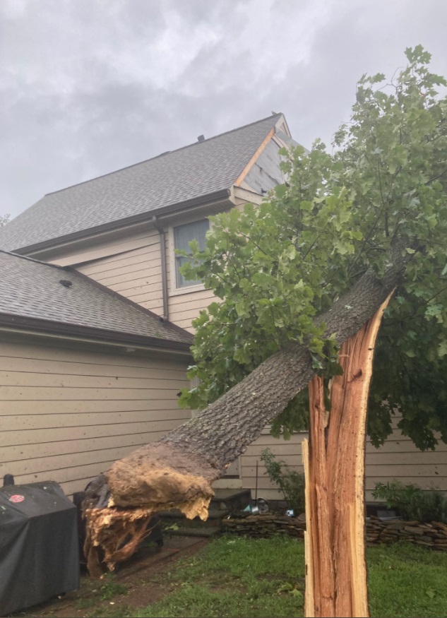 PHOTO Of Tornado Damage In Wenonah New Jersey