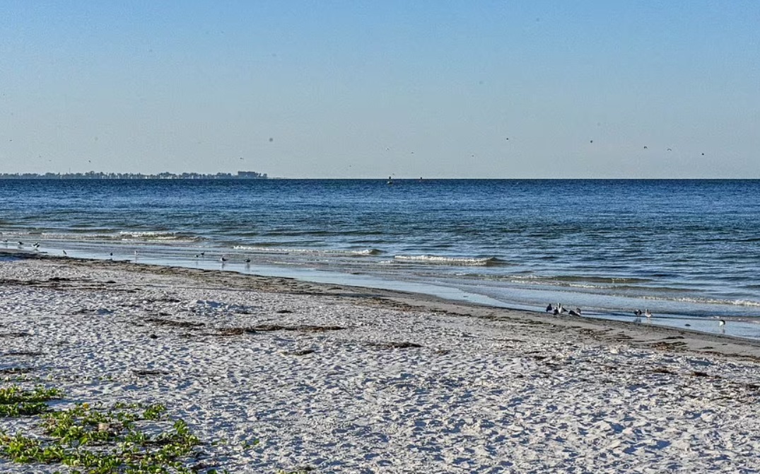 PHOTO The Amount Of Open Land And Steep Terrain With Trees At Fort De Soto Park May Make It A Permanent Hiding Place For Brian Laundrie