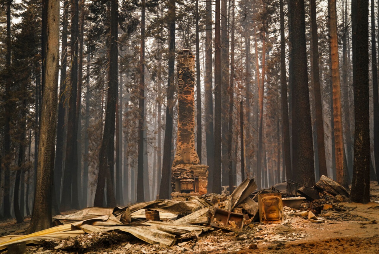 PHOTO The Damage Already Done To Lake Tahoe Is Extensive 