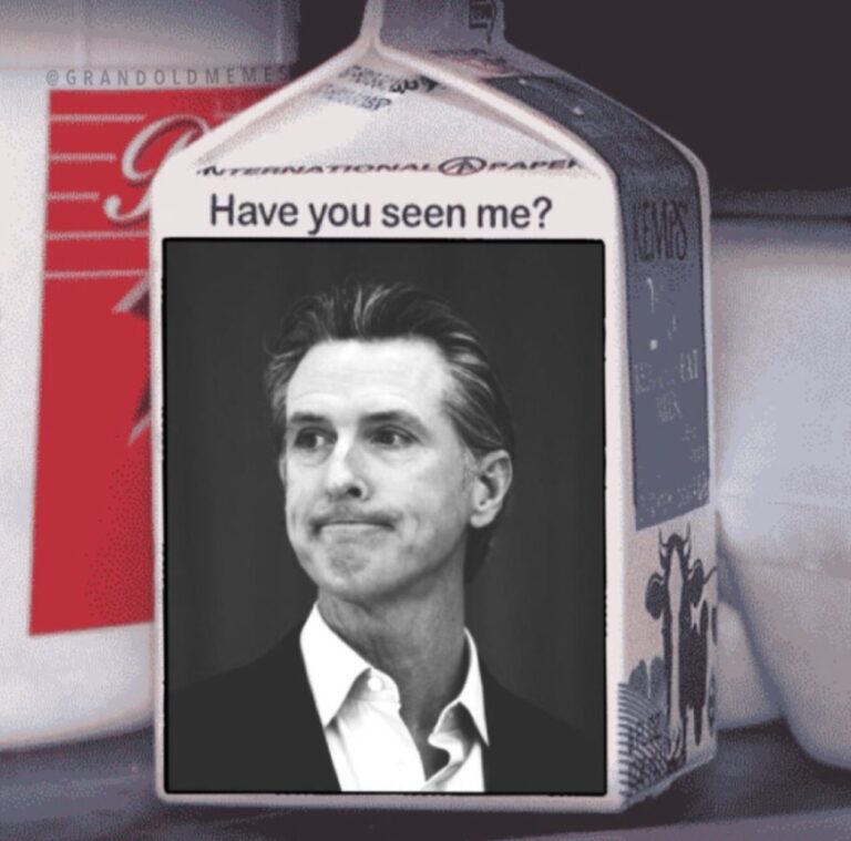 Photo Have You Seen Me Gavin Newsom Meme