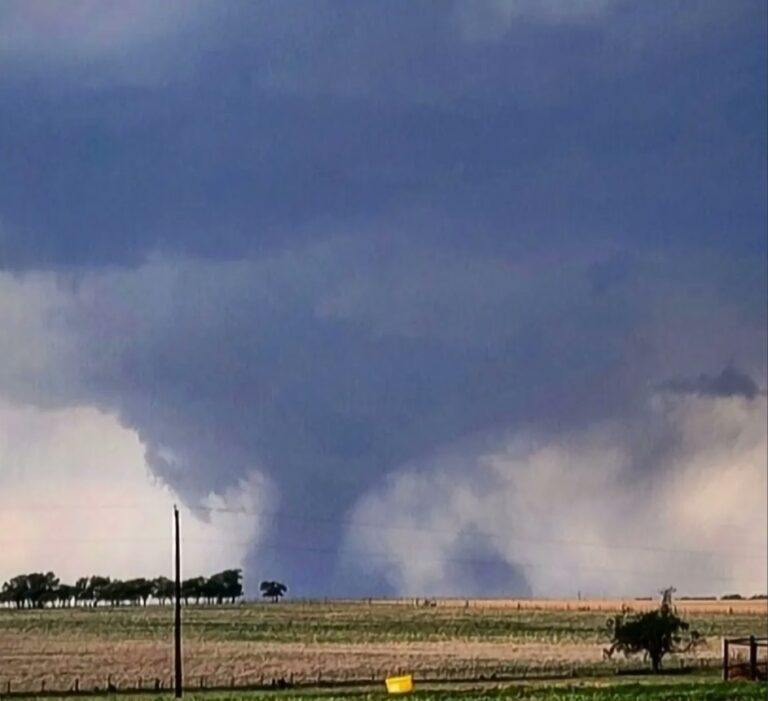 PHOTO Damage From Tornado In Florence Jarrell And Salado Texas