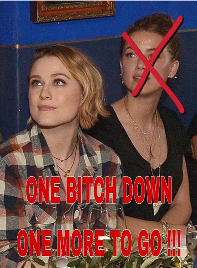 PHOTO One B*tch Down One More To Go Amber Heard Meme