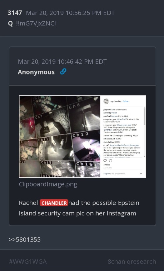 PHOTO Proof Rachel Chandler Saved Jeffrey Epstein