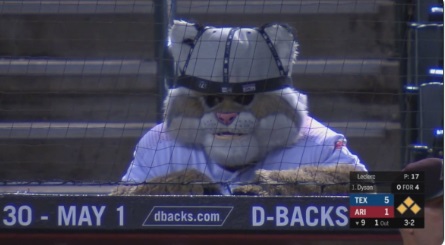 Diamondbacks Mascot Steals Fans Seat