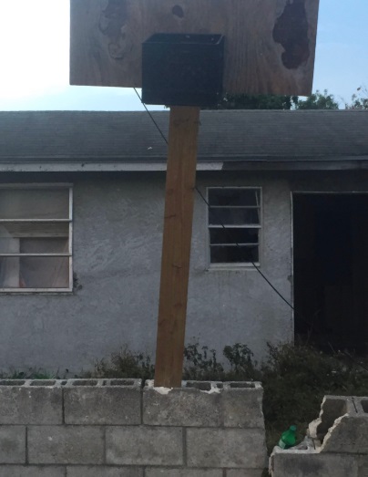 PHOTO Buddy Hield Learned How To Shoot On This Makeshift Hoop In The Bahamas