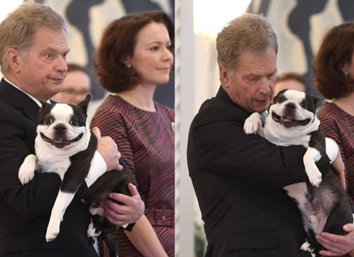 PHOTO President Niinisto Has A Cute Dog