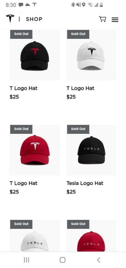 PHOTO Tesla Hats In Online Shop Completely Sold Out