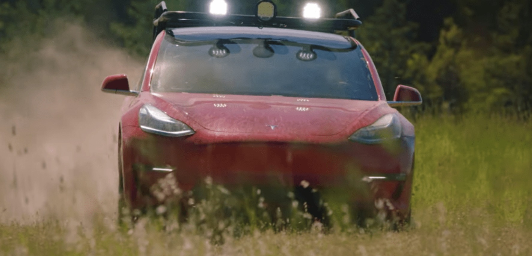 PHOTO Tesla Model S With Spotlights Driving Through Weeds