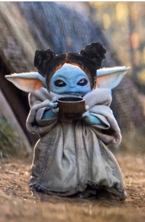 PHOTO Baby Yoda Dressed Up As Miss Universe 2019