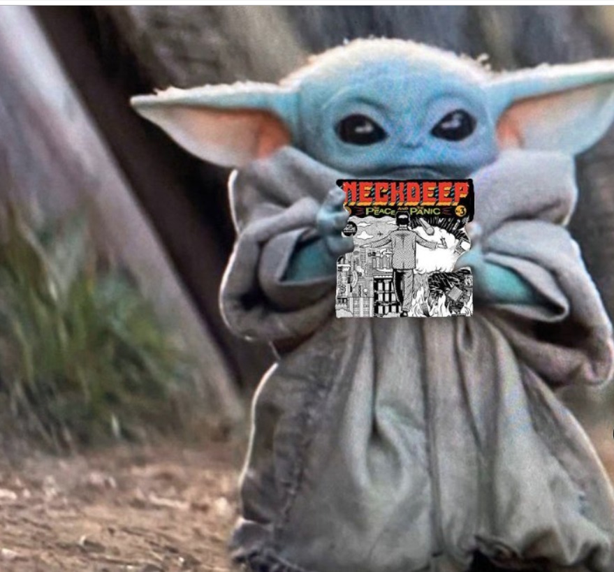 PHOTO Baby Yoda Holding Peace And Panic Album