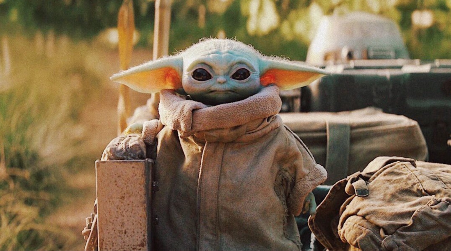 PHOTO Baby Yoda In A Parka Jacket