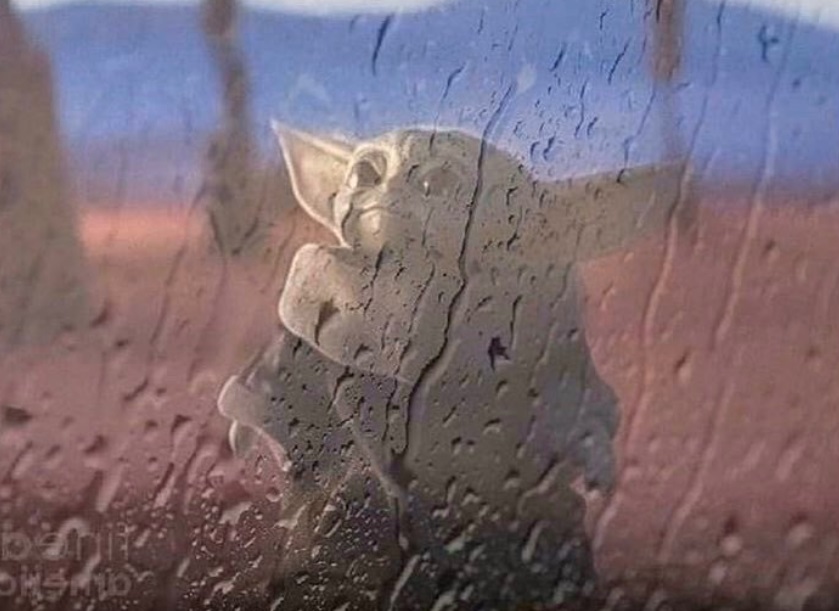 PHOTO Baby Yoda In A Rainstorm