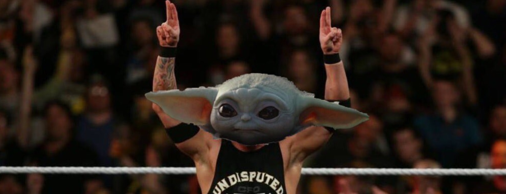 PHOTO Baby Yoda In The Boxing Ring