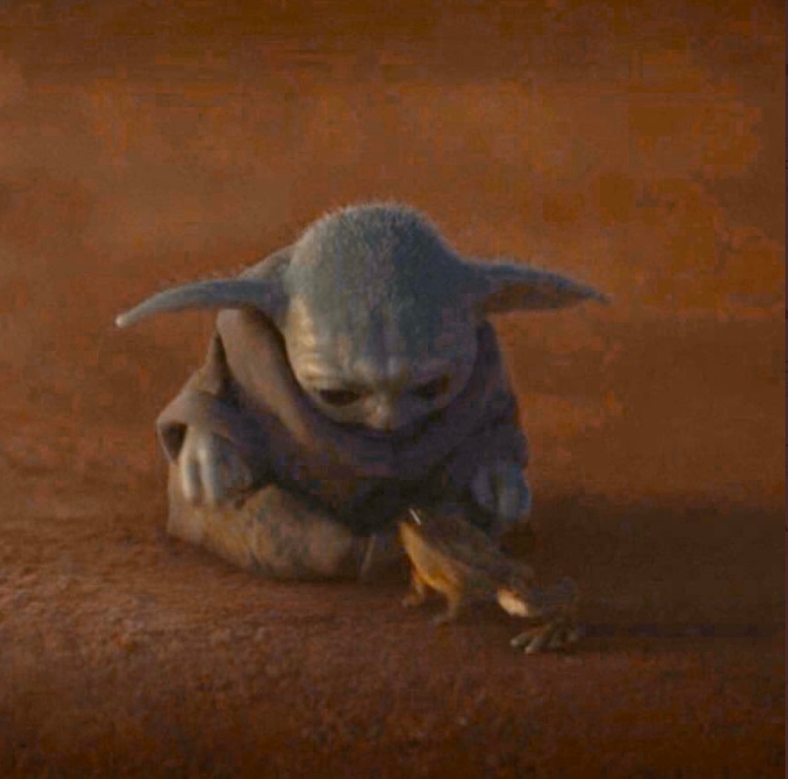 PHOTO Baby Yoda Leans Down To Observe A Frog