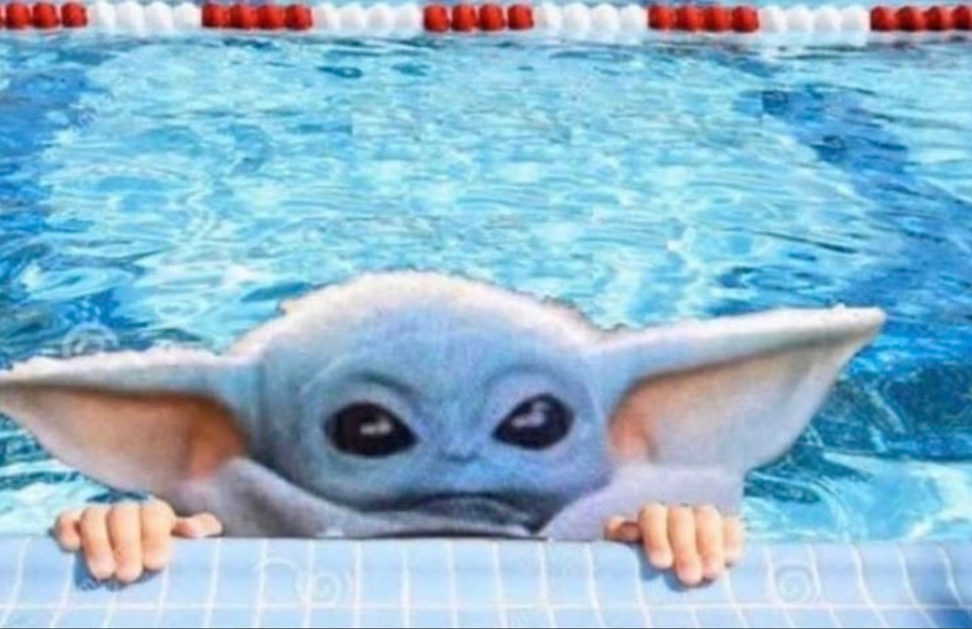 PHOTO Baby Yoda Peaking His Head Out Of The Swimming Pool