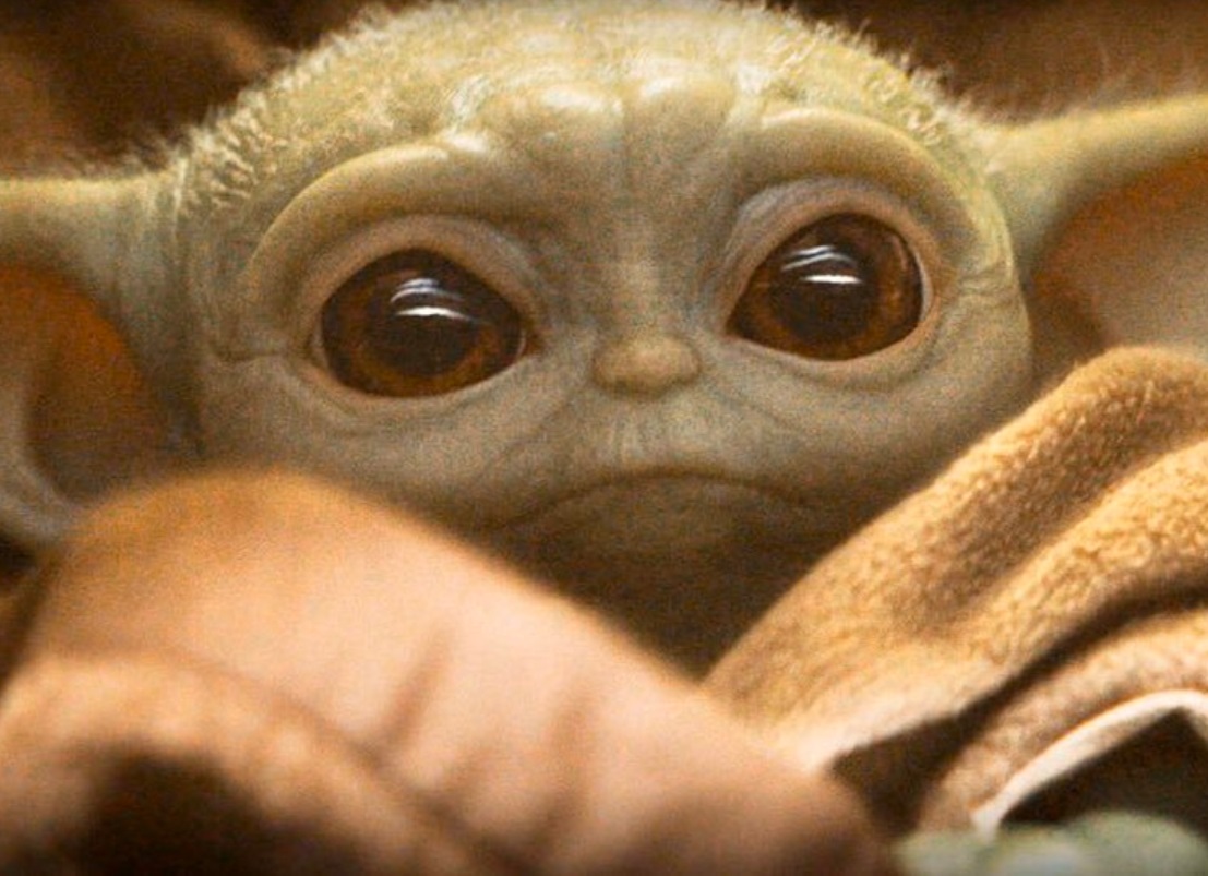 PHOTO Baby Yoda Staring Aimlessly Into Space