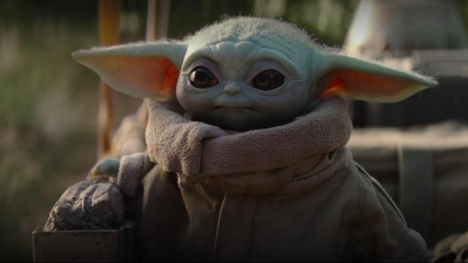 PHOTO Baby Yoda Wearing A Winter Coat