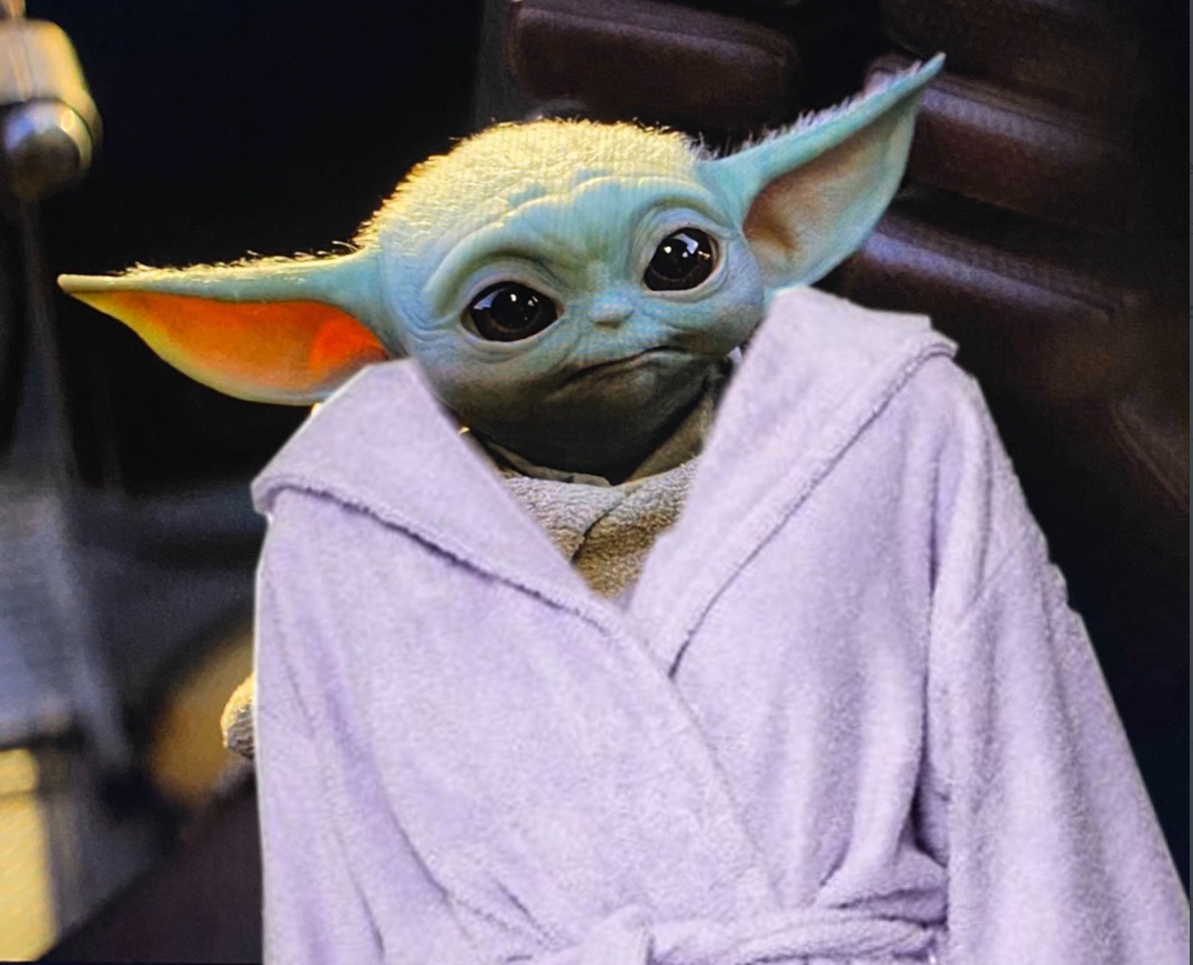 PHOTO Baby Yoda Wearing Harry's Purple Robe