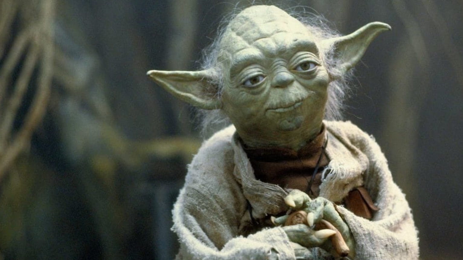 PHOTO Baby Yoda With Grey Hair