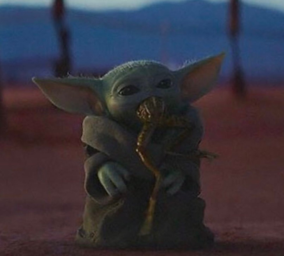 PHOTO Baby Yoda's Mouth Full With A Snake In His Mouth