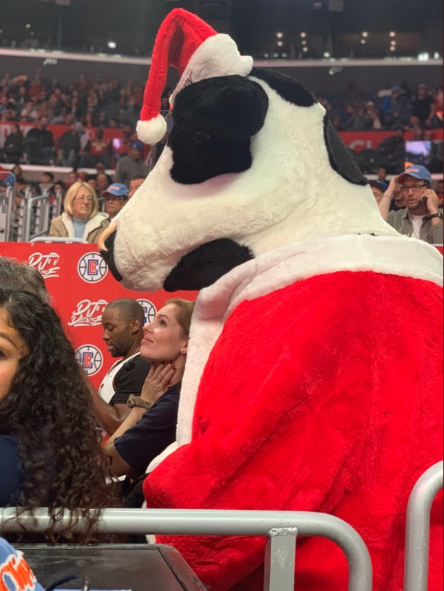 PHOTO Cow Dressed Like Santa At Clippers Game