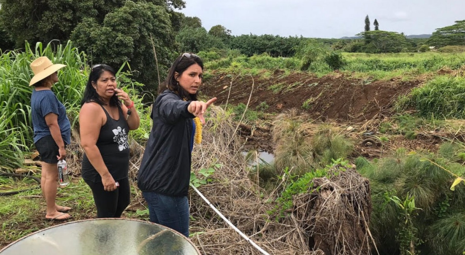 PHOTO Tulsi Gabbard Looks Ugly In Jeans