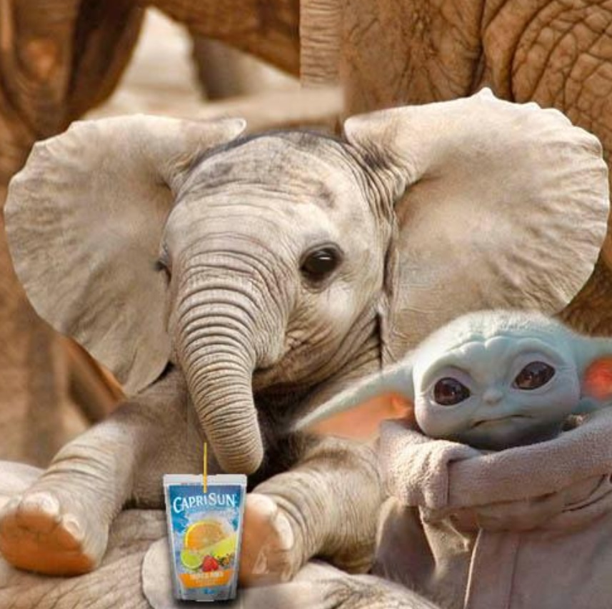 PHOTO Yoda At The Zoo With Capri Sun