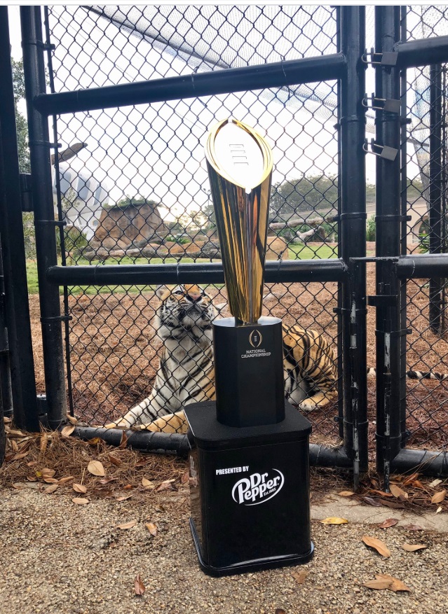 PHOTO Actual Tiger Takes Photo With College Football National Championship Trophy