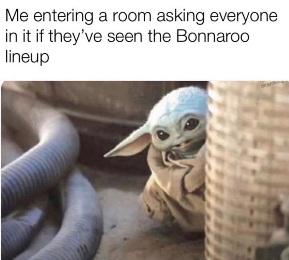 PHOTO Baby Yoda Bonnaroo Meme