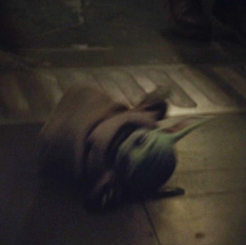 PHOTO Baby Yoda Laying Unconscious On The Floor