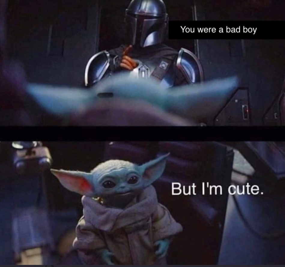 PHOTO Baby Yoda Meme You Were A Bad Boy But I'm Cute