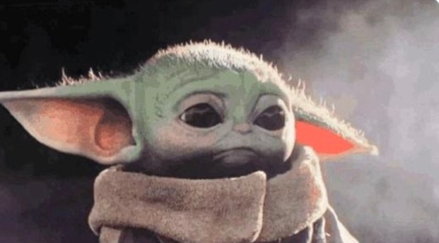 PHOTO Baby Yoda's Face When He Gets Rejected From Snuggling