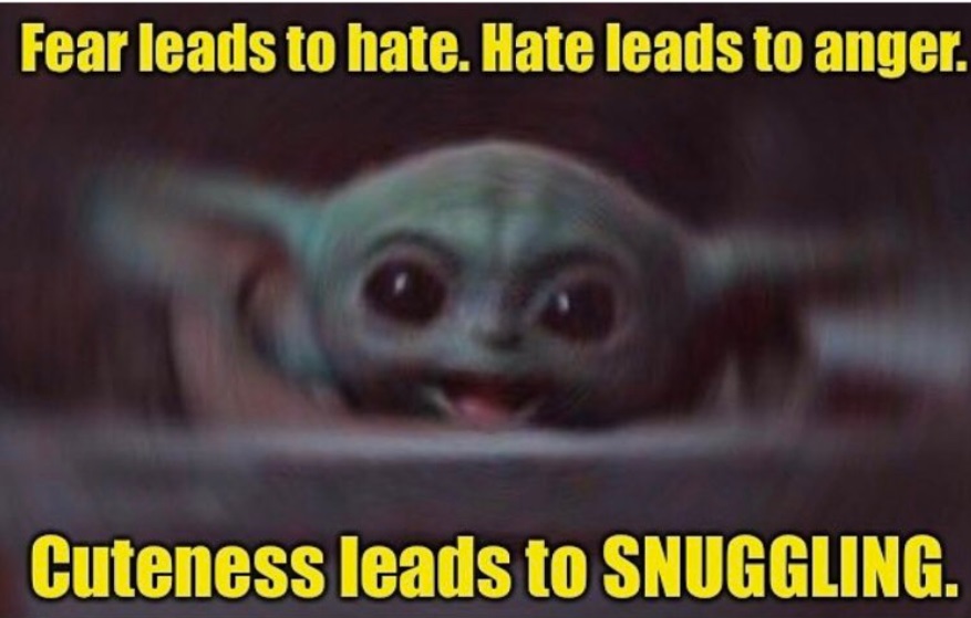 PHOTO Fear Leads To Hate Hate Leads To Anger Cuteness Leads To Snuggling Baby Yoda Meme