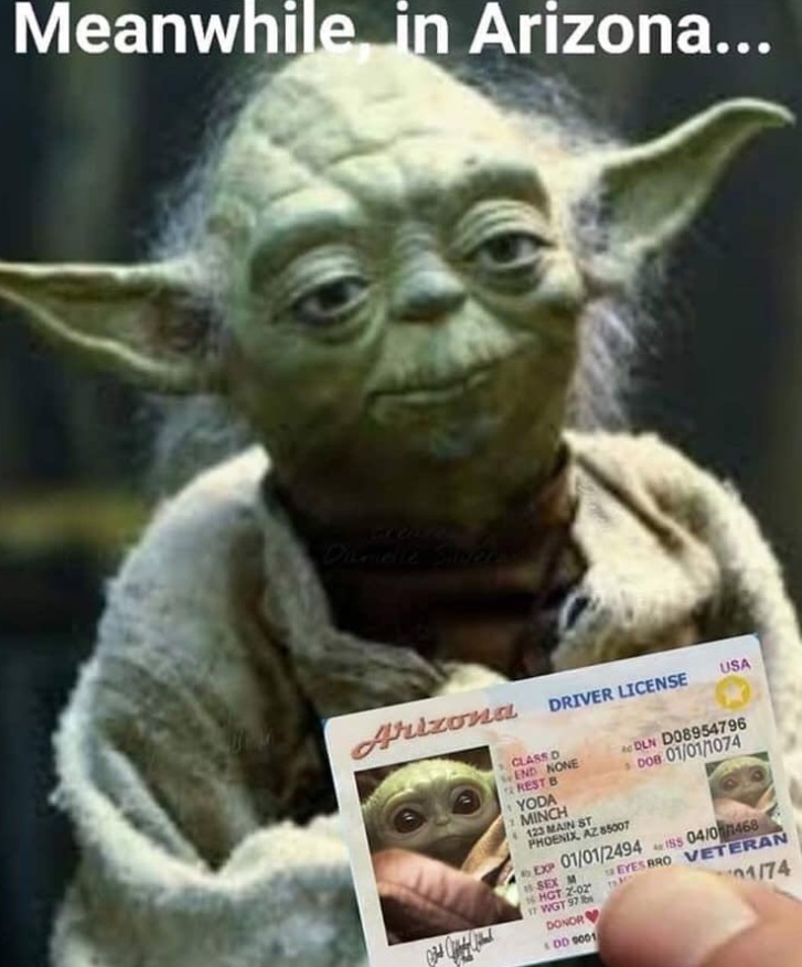 PHOTO Meanwhile In Arizona Yoda Using Drivers License With Baby Yoda's Picture