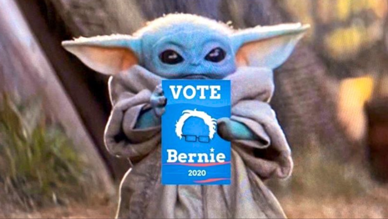 PHOTO Baby Yoda Holding Vote Bernie Sanders Sign