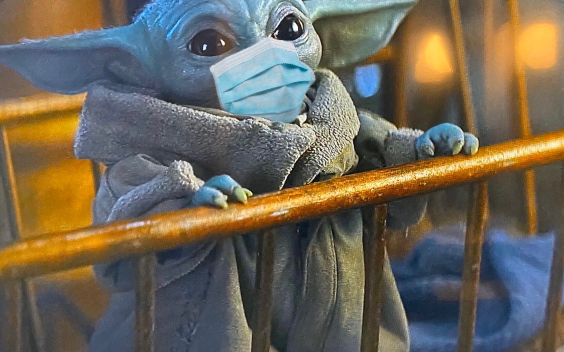 PHOTO Baby Yoda In Quarantine From The Corona Virus With A Mask On