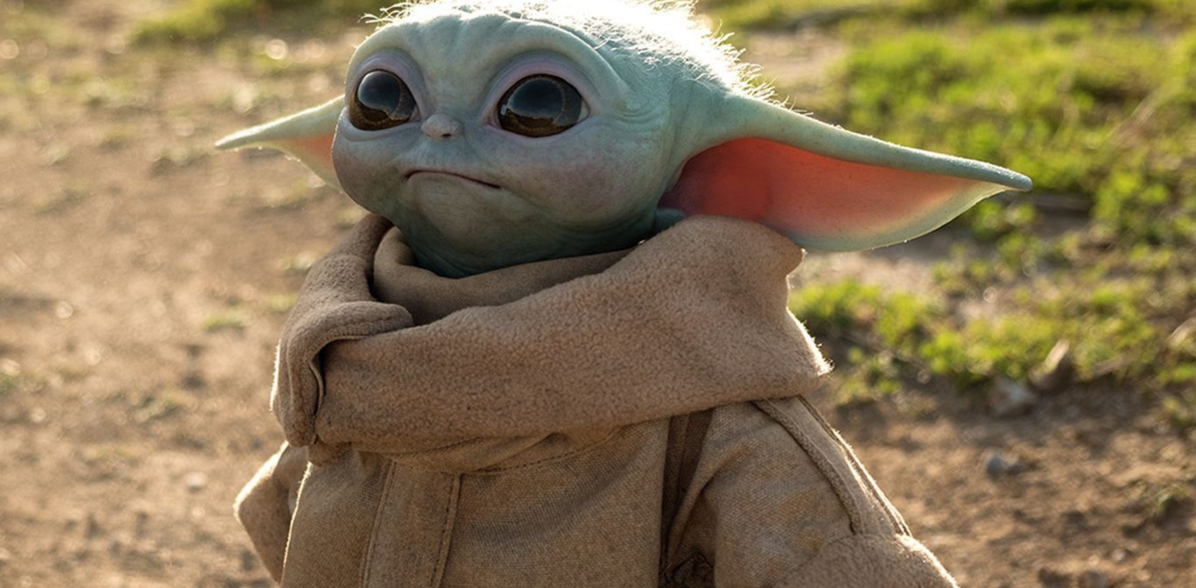 PHOTO Baby Yoda Wandering In The Desert