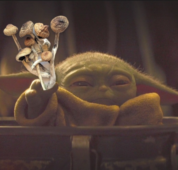 PHOTO Baby Yoda Wants To Share His Mushrooms