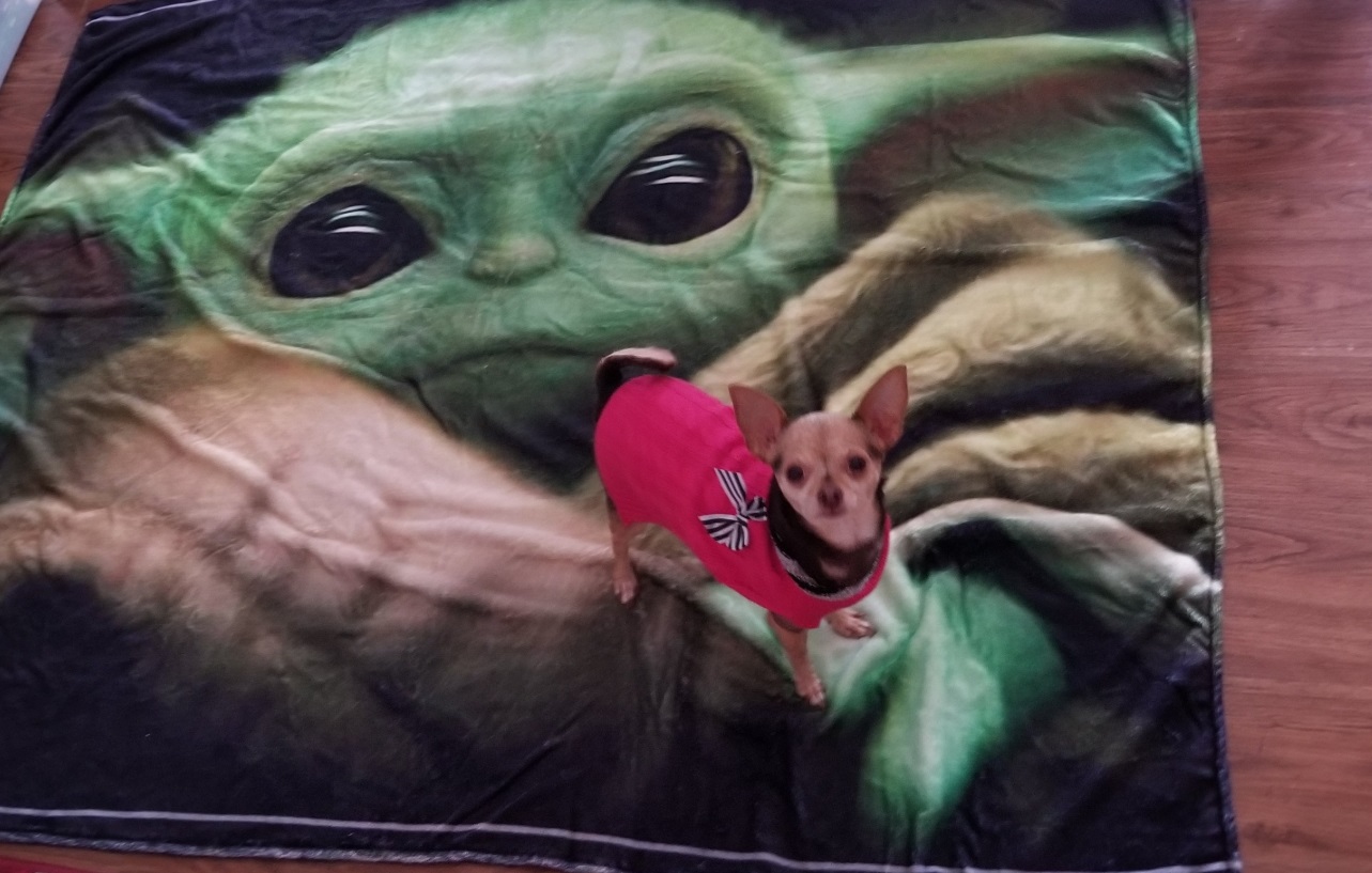 PHOTO Baby Yoda Couch Blanket