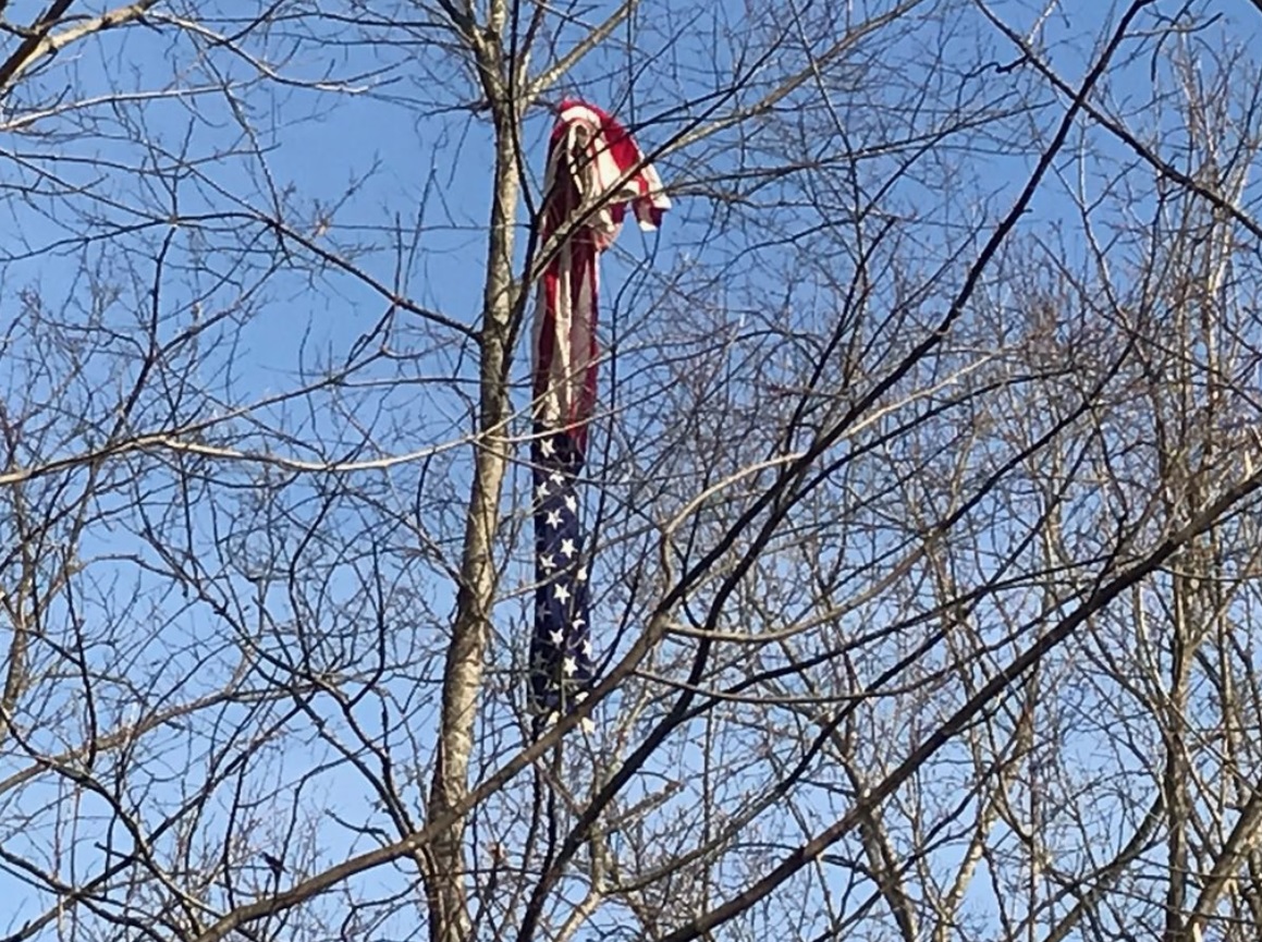 PHOTO Cookeville Resident Plants American Flag Above Tree Branches As A Glimmer Of Hope After Tornado Hits