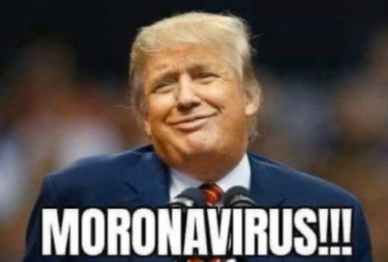 PHOTO Donald Trump Moronavirus Meme