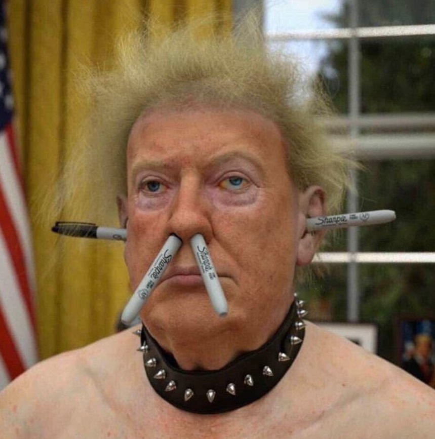 PHOTO Donald Trump With An Afro Sharpies In His Ears And Nose And A Dog Chain Around His Neck