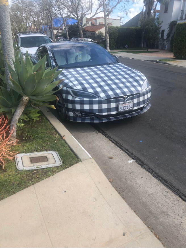 PHOTO Dude Dresses Up His Tesla Like A Mall Hill Staffer