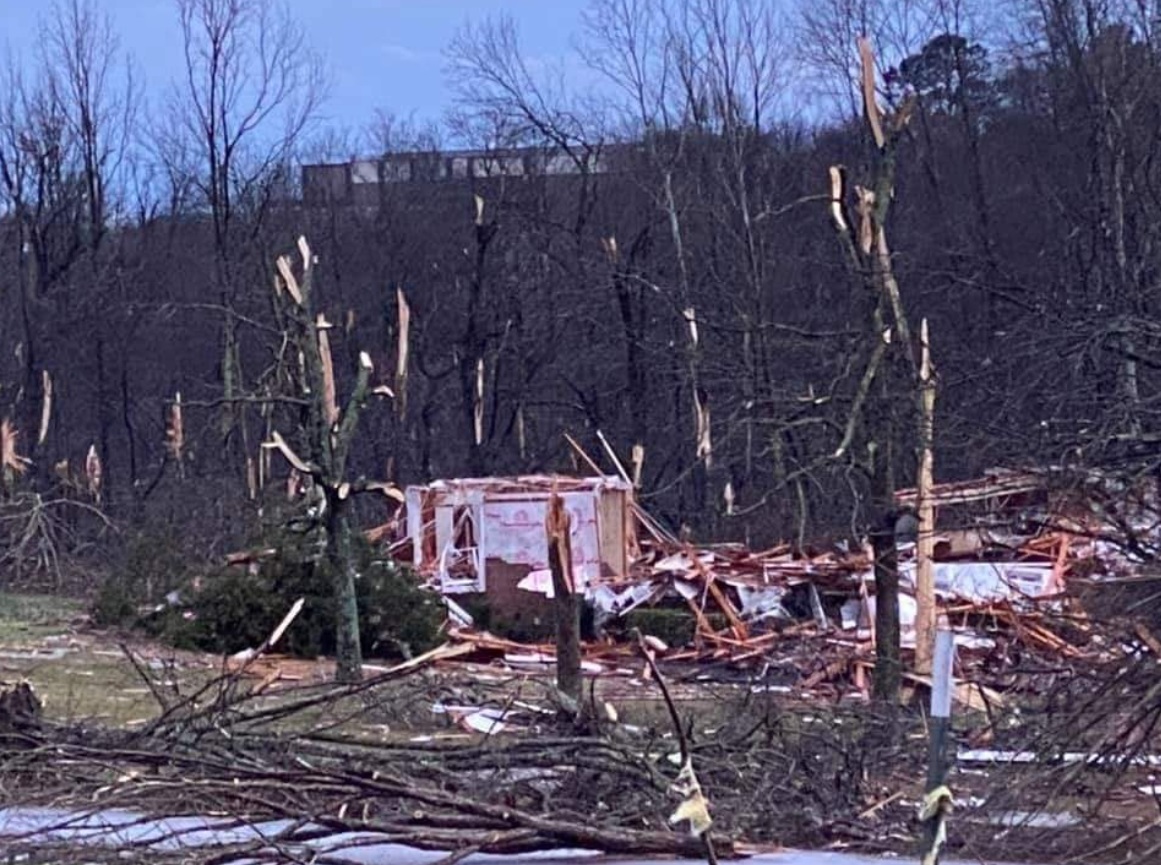 PHOTO Only Thing Left In Clearview Subdivison In Mount Juliet Is Trees