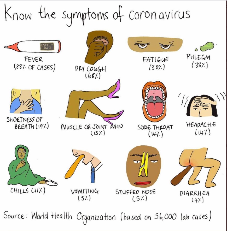 PHOTO Symptoms Of Corona Virus Explained In Percentages