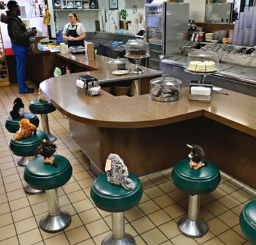 PHOTO Teaneck New Jersey Ice Cream Parlor Has Stuffed Animals On Chairs Since People Can't Dine In During Corona Virus Outbreak