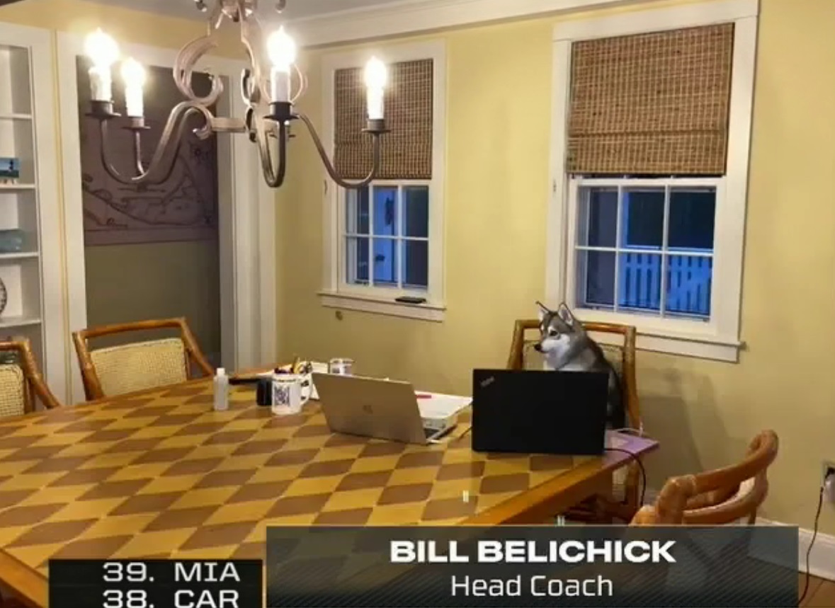 PHOTO Bill Belichick Lets His Dog Replace Him For Second Round Of NFL Draft